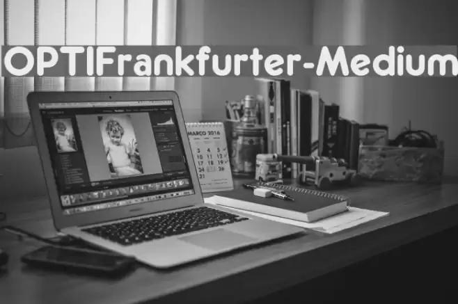 OPTIFrankfurter-Medium Шрифта examples