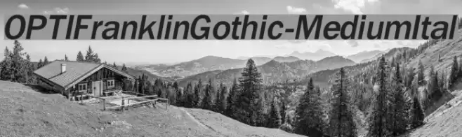 OPTIFranklinGothic-MediumItal Font examples