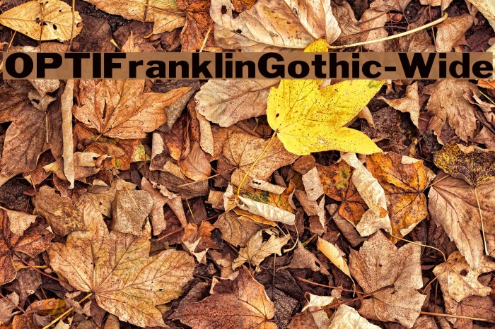 OPTIFranklinGothic-Wide फ़ॉन्ट examples
