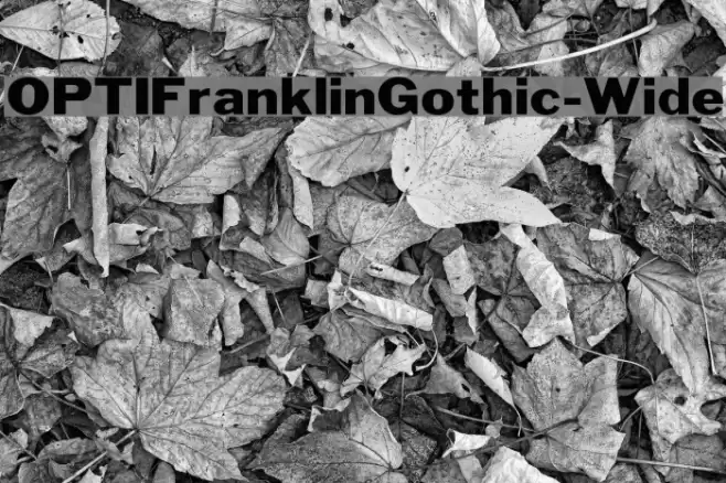 OPTIFranklinGothic-Wide Font examples