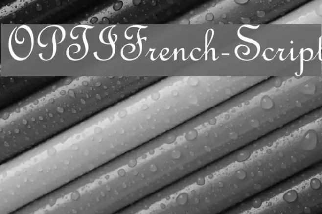 OPTIFrench-Script Font examples