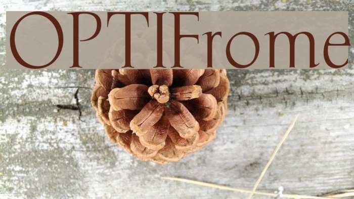 OPTIFrome Font examples
