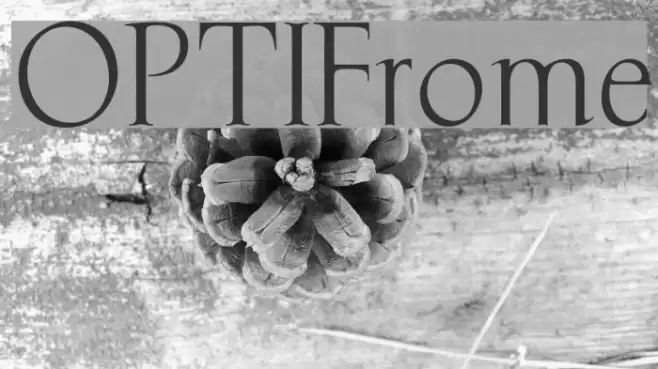 OPTIFrome फ़ॉन्ट examples