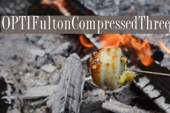 OPTIFultonCompressedThree Example 2