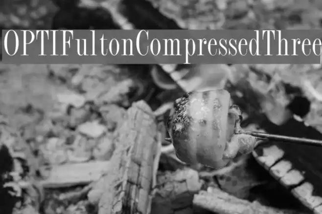 OPTIFultonCompressedThree Font examples