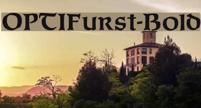 OPTIFurst-Bold Example 1