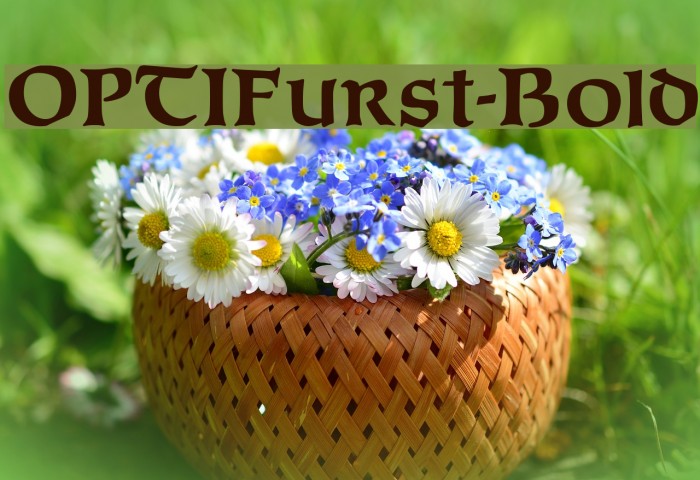 OPTIFurst-Bold Font examples