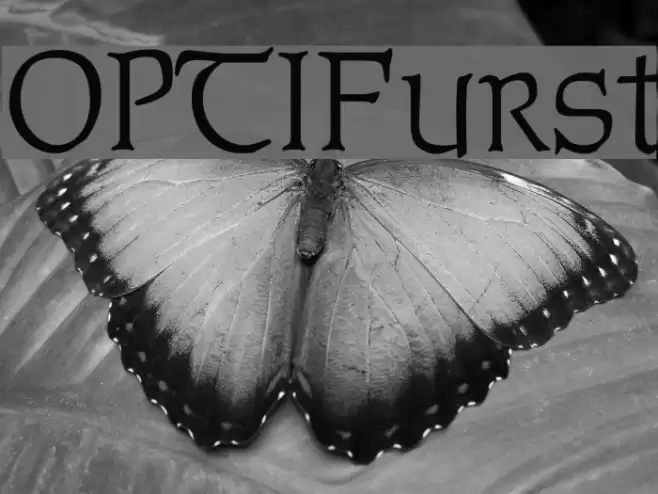 OPTIFurst  examples
