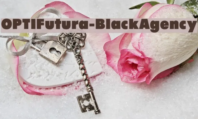 OPTIFutura-BlackAgency Example 1