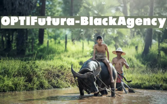 OPTIFutura-BlackAgency Example 3
