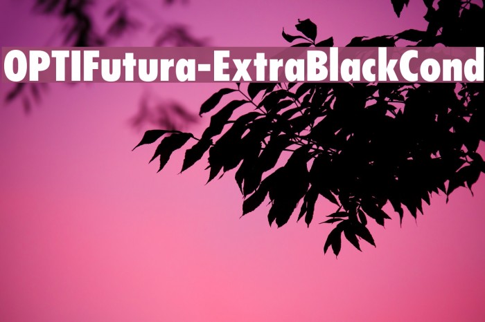 OPTIFutura-ExtraBlackCond Font examples