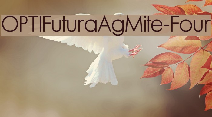 OPTIFuturaAgMite-Four フォント examples
