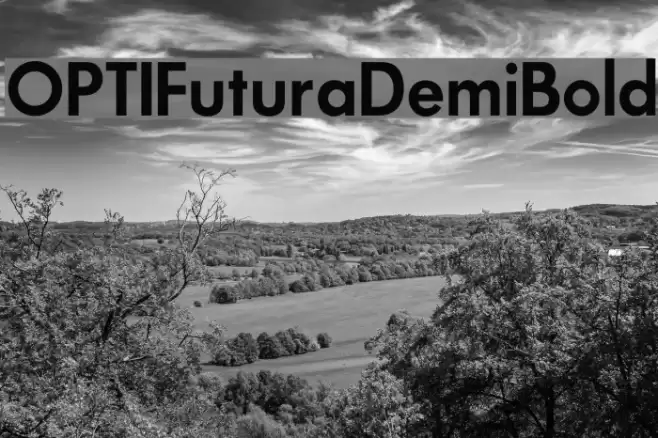 OPTIFuturaDemiBold Font examples