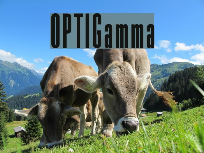 OPTIGamma Font examples