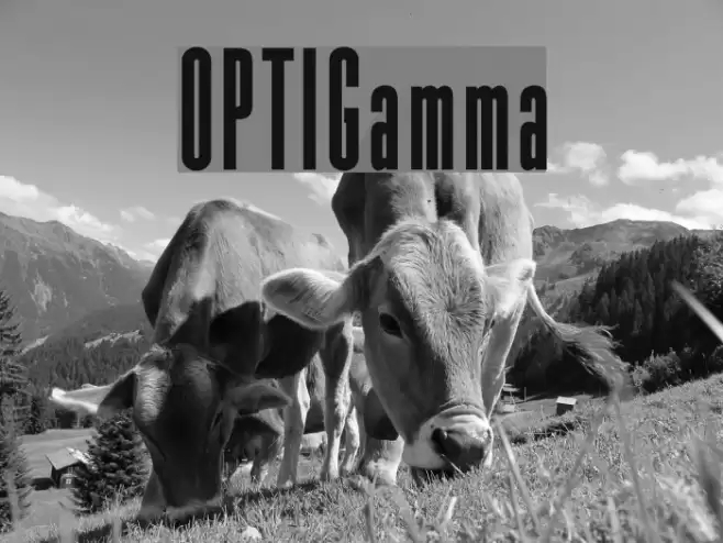 OPTIGamma Шрифта examples