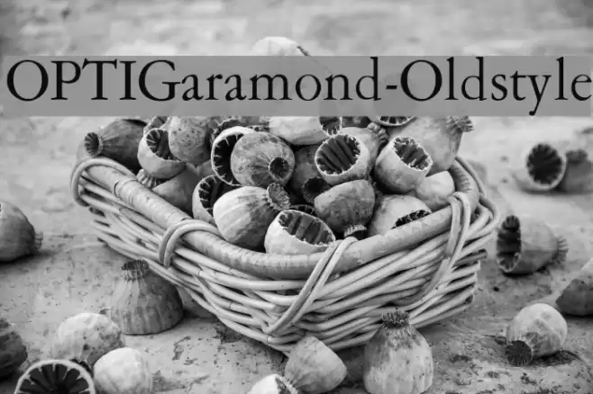 OPTIGaramond-Oldstyle Font examples