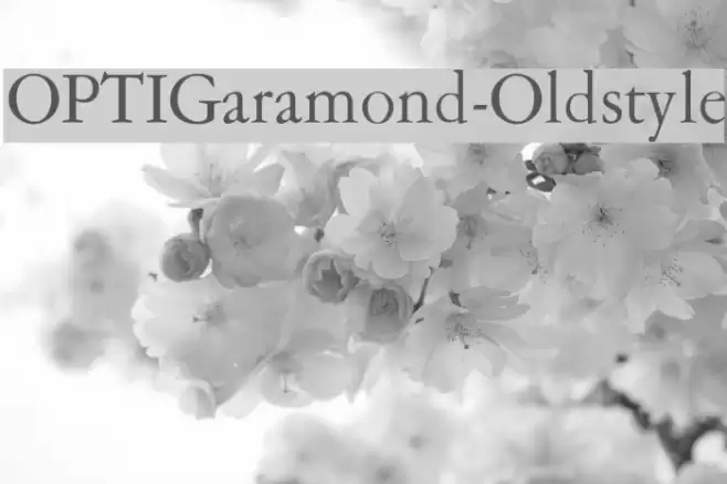 OPTIGaramond-Oldstyle Font examples