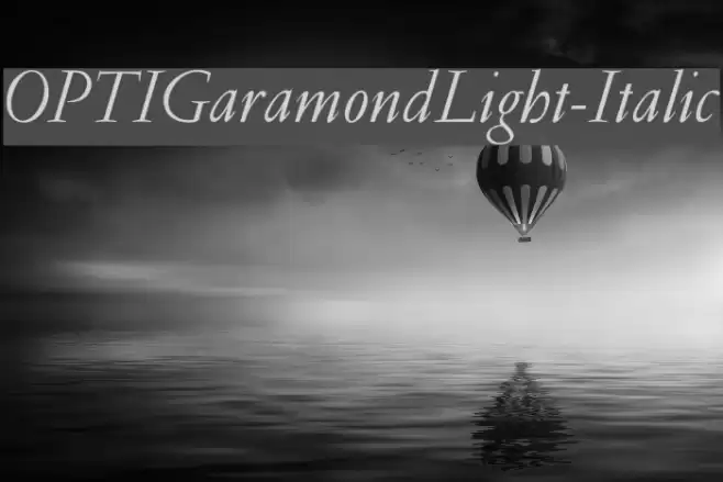 OPTIGaramondLight-Italic  examples