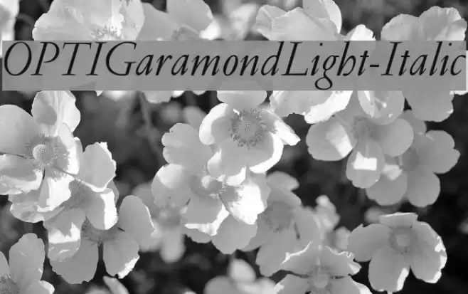 OPTIGaramondLight-Italic  examples