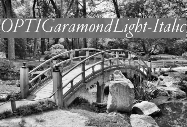 OPTIGaramondLight-Italic  examples