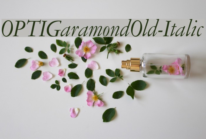 OPTIGaramondOld-Italic Font examples