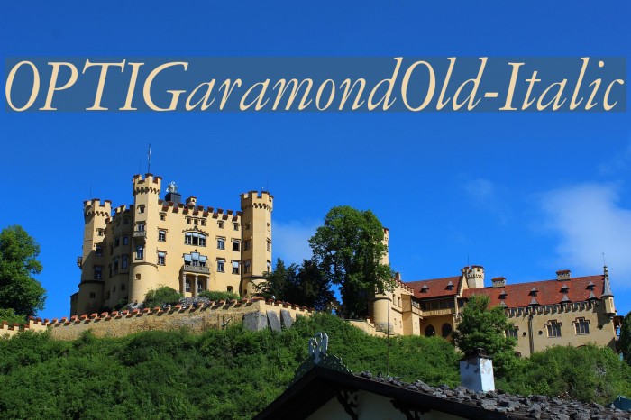 OPTIGaramondOld-Italic Font examples