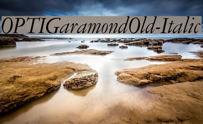 OPTIGaramondOld-Italic Font examples