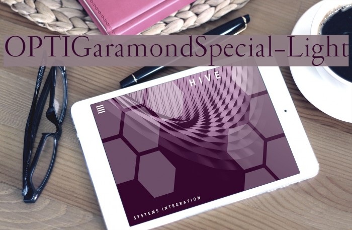 OPTIGaramondSpecial-Light Font examples