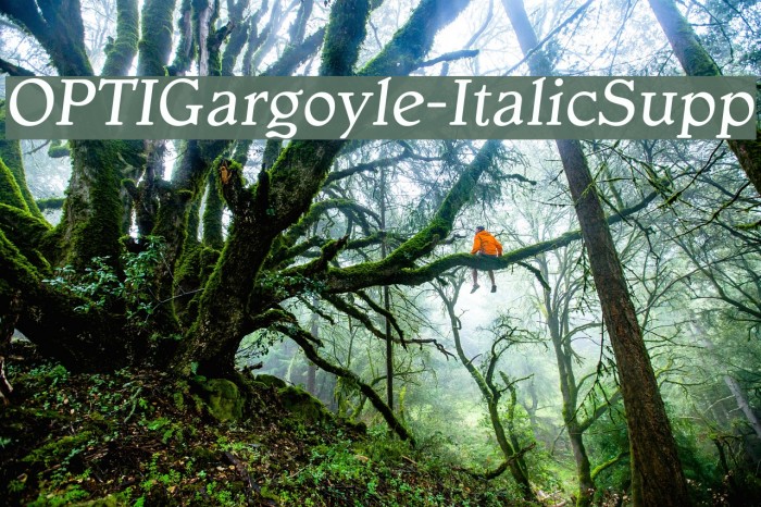 OPTIGargoyle-ItalicSupp Font examples