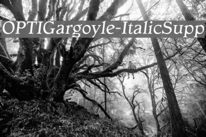 OPTIGargoyle-ItalicSupp  examples