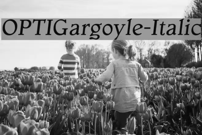 OPTIGargoyle-Italic Font examples