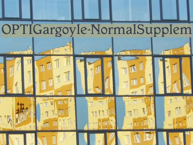OPTIGargoyle-NormalSupplem Example 1
