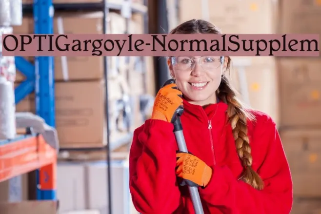 OPTIGargoyle-NormalSupplem Example 2