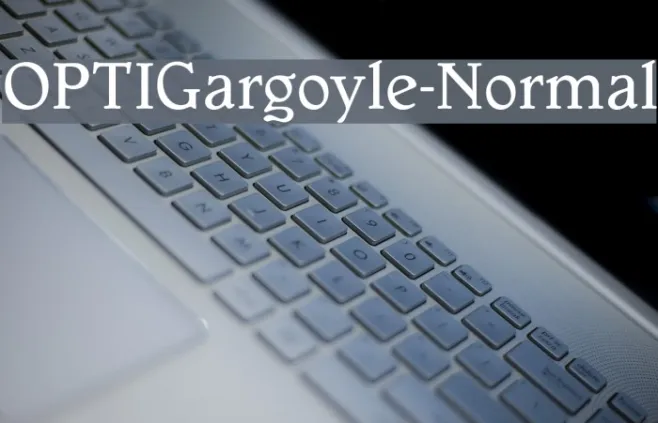 OPTIGargoyle-Normal Example 1