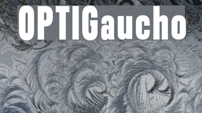 OPTIGaucho Example 1
