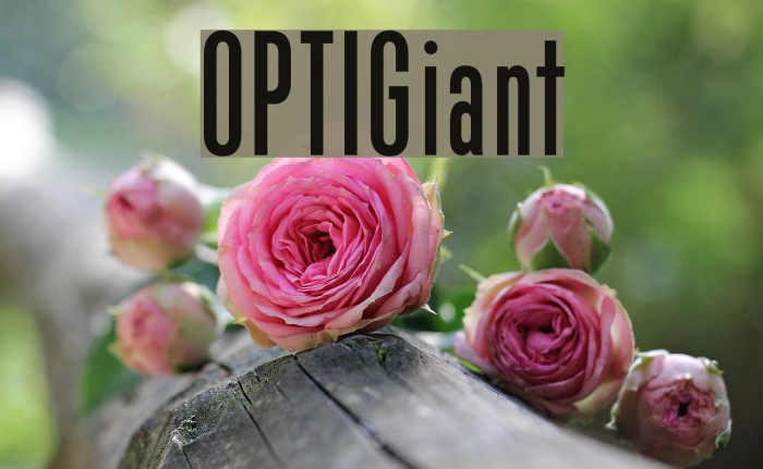 OPTIGiant Font examples