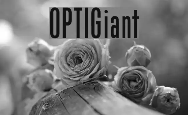 OPTIGiant フォント examples
