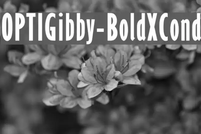 OPTIGibby-BoldXCond Font examples