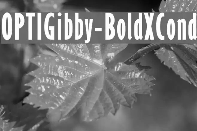 OPTIGibby-BoldXCond Font examples