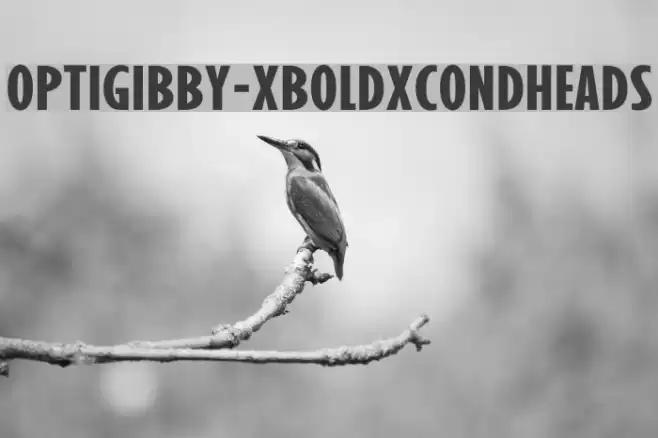 OPTIGibby-XBoldXCondHeads Font examples