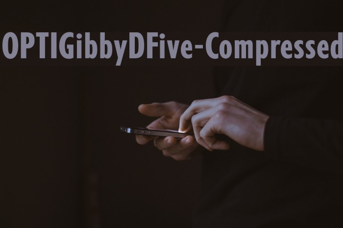 OPTIGibbyDFive-Compressed Example 1