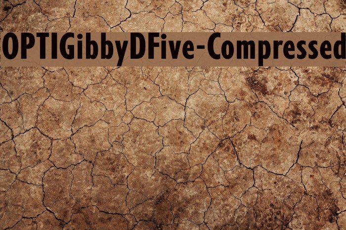 OPTIGibbyDFive-Compressed Example 3