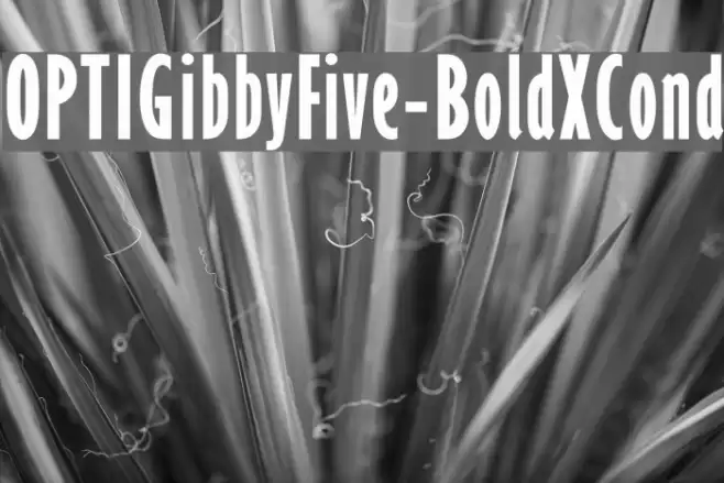 OPTIGibbyFive-BoldXCond Font examples