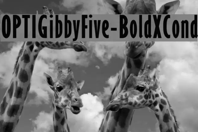OPTIGibbyFive-BoldXCond Font examples