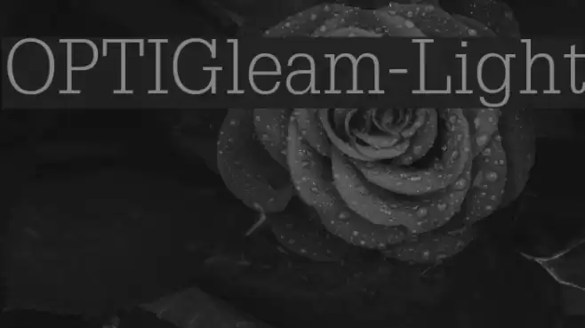 OPTIGleam-Light Fuentes examples