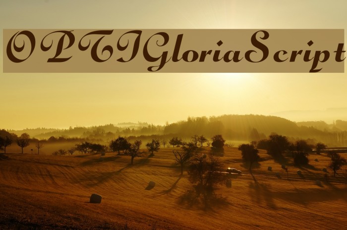 OPTIGloriaScript Font examples