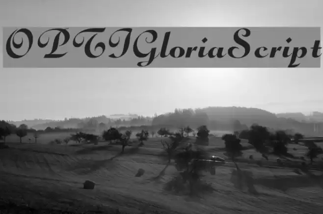 OPTIGloriaScript Font examples