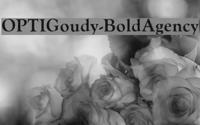 OPTIGoudy-BoldAgency Font examples