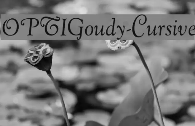OPTIGoudy-Cursive Font examples