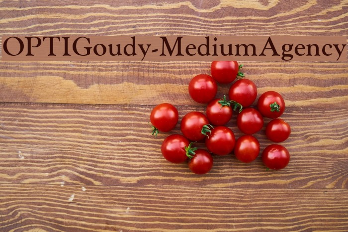 OPTIGoudy-MediumAgency Font examples